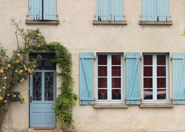 Beautiful French blues  Growing Spaces