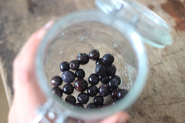 How to make sloe gin | Growing Spaces