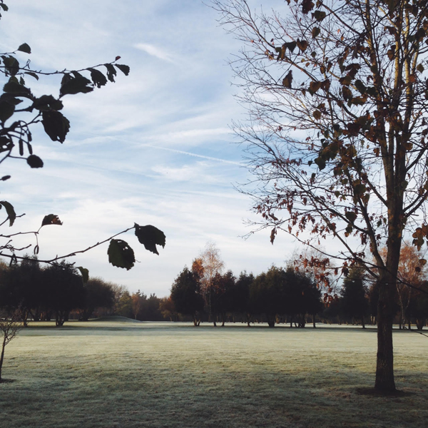 Frosty morning | Growing Spaces