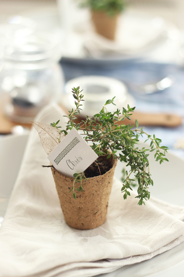 600 Thyme table favour