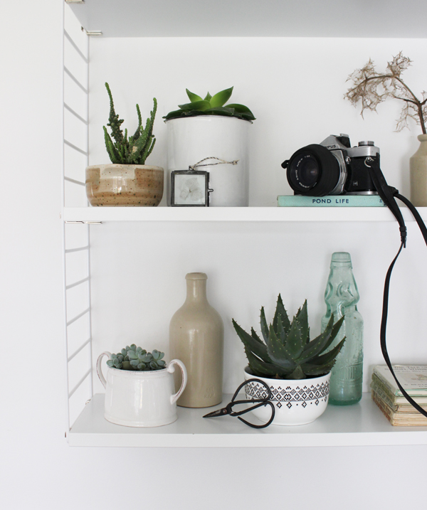 Plant shelfie 2 | Urban Jungle Bloggers