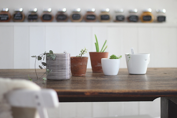 kitchen plants for Urban Jungle Bloggers | Growing Spaces