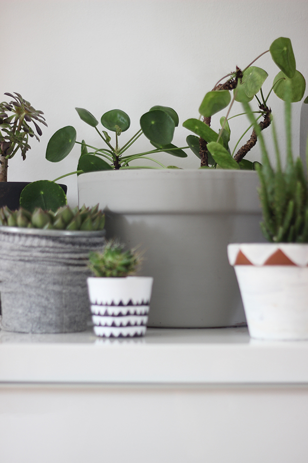 DIY painted plant pot ideas | Growing Spaces