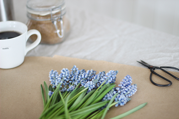 Spring flowers for Styling the Seasons | Growing Spaces