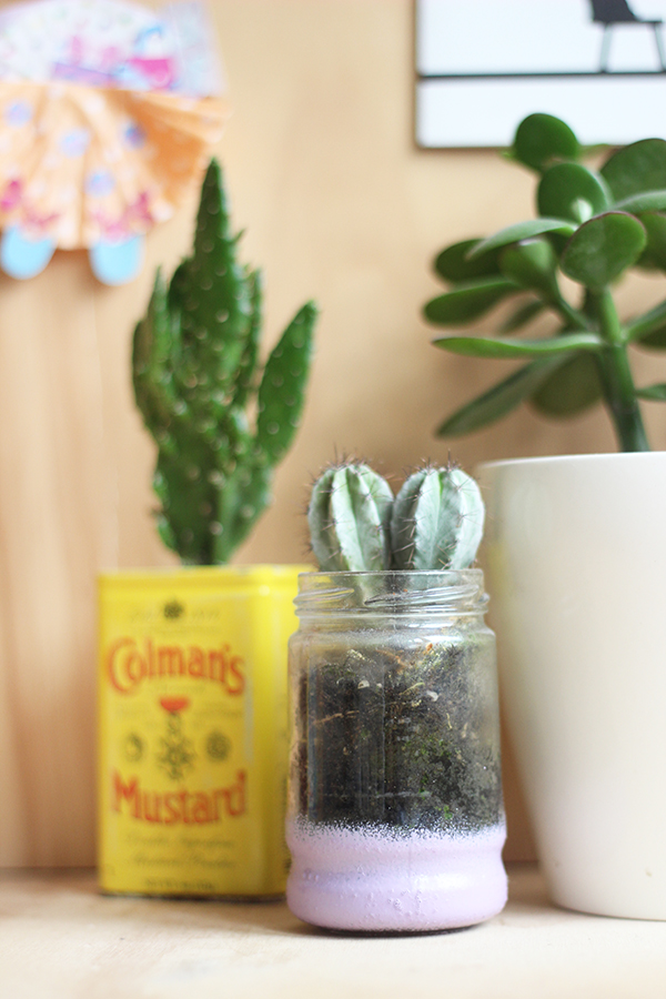 cacti | Growing Spaces