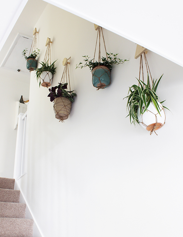 Wall of hanging planters | Growing Spaces