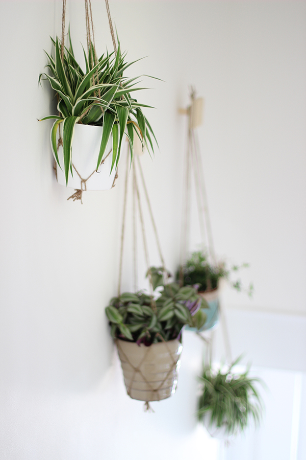 Wall of hanging plants | Growing Spaces