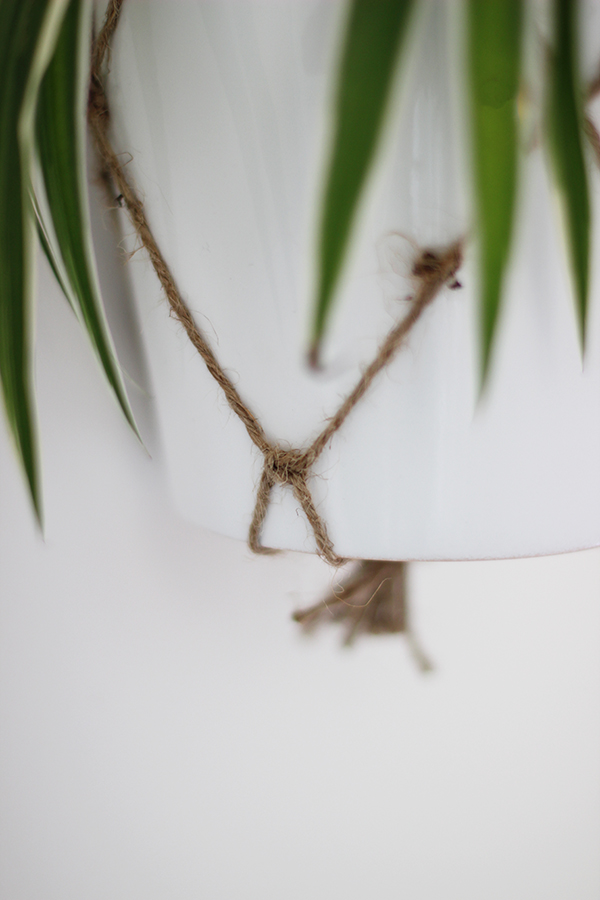 Macrame plant hanger from twine | Growing Spaces