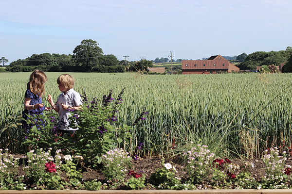 Norfolk Country Cottages | Growing Spaces