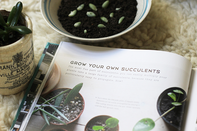 Urban Jungle Bloggers book review | Growing Spaces