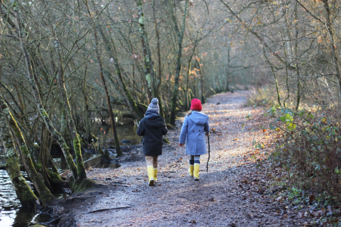 A stomp in our favourite woods