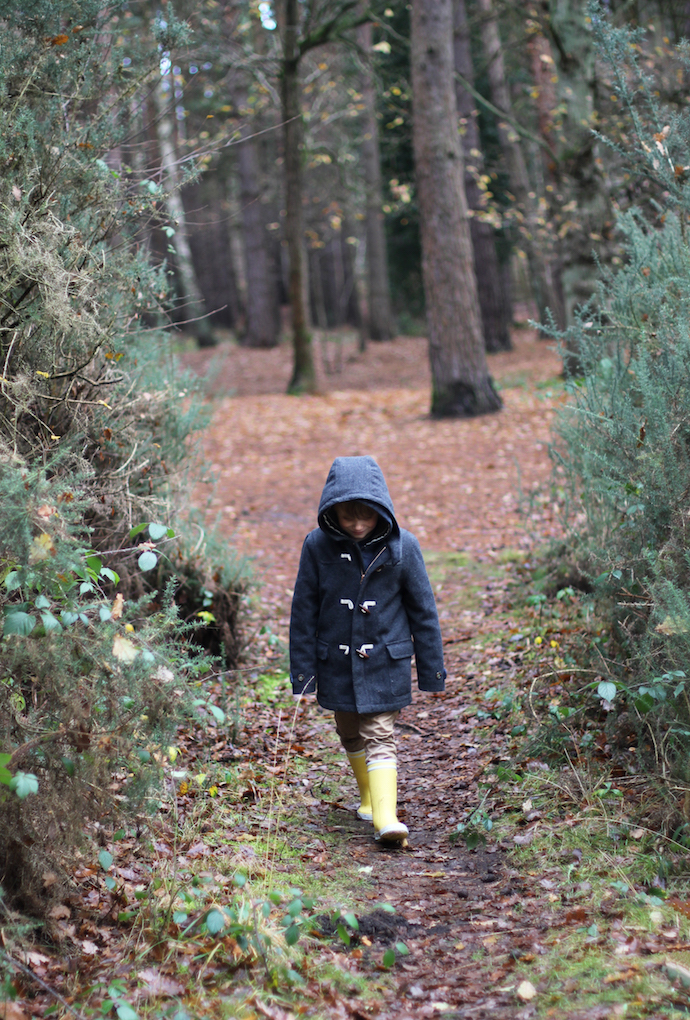 A stomp in the woods | Growing Spaces