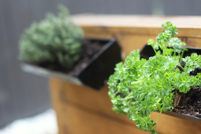 DIY gutter herb planter | Growing Spaces